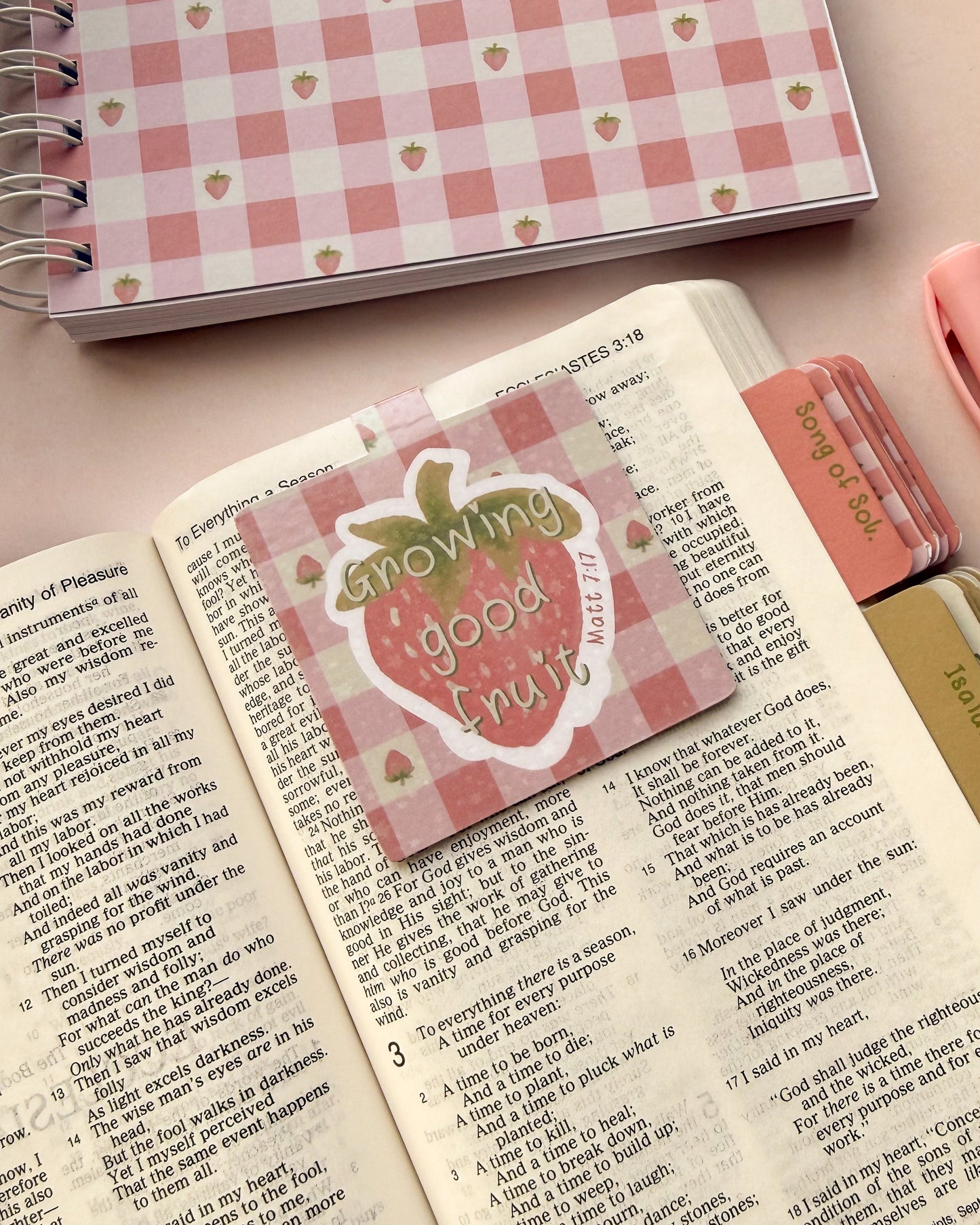 Pink Strawberry design magnetic bookmark featuring Matt 7:17
