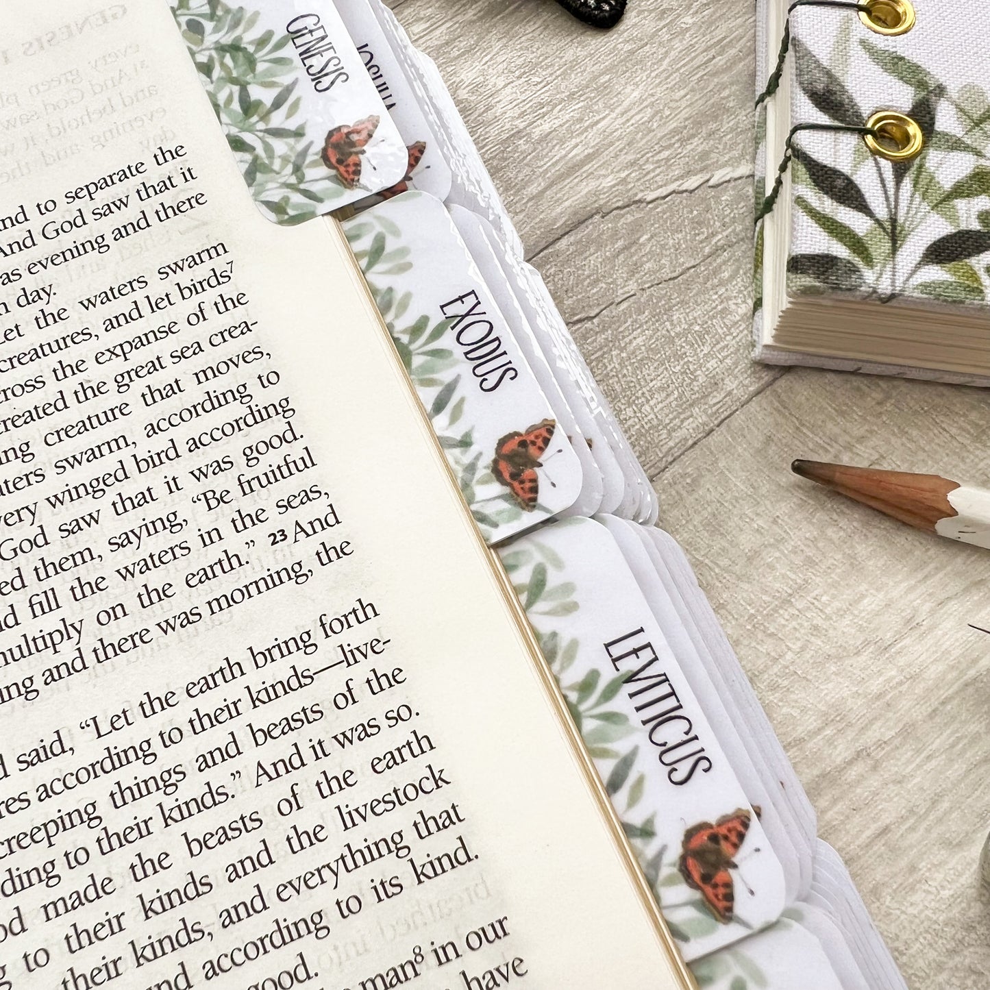 You Will Seek Me & Find Me - Watercolour Butterfly Laminated Bible Tabs