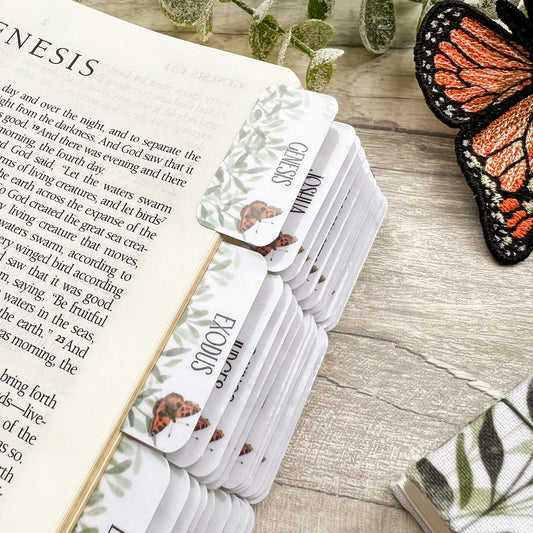 You Will Seek Me & Find Me - Watercolour Butterfly Laminated Bible Tabs