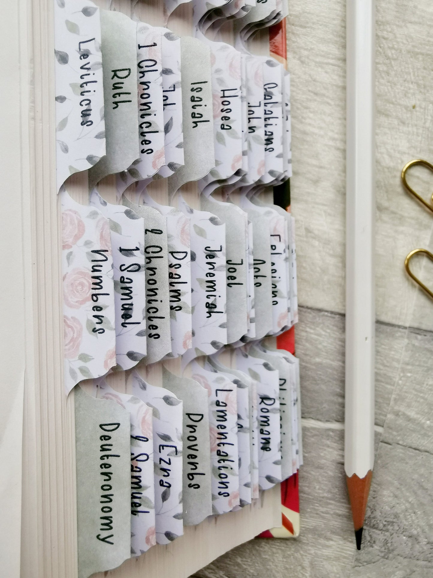 Blush Roses Watercolour Bible Tabs