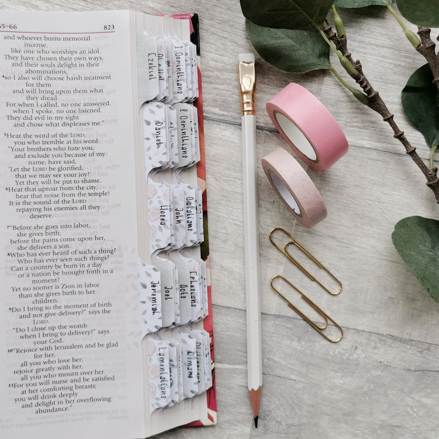 Blush Roses Watercolour Bible Tabs