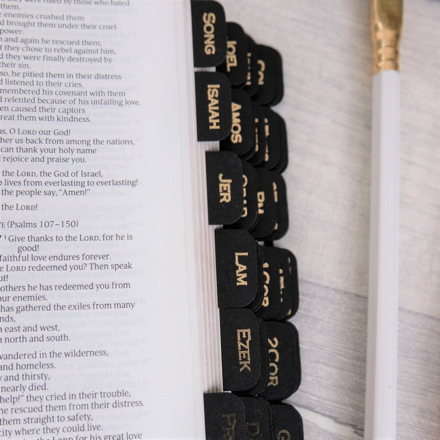 Small & Elegant Black and Gold Mini Bible Tabs