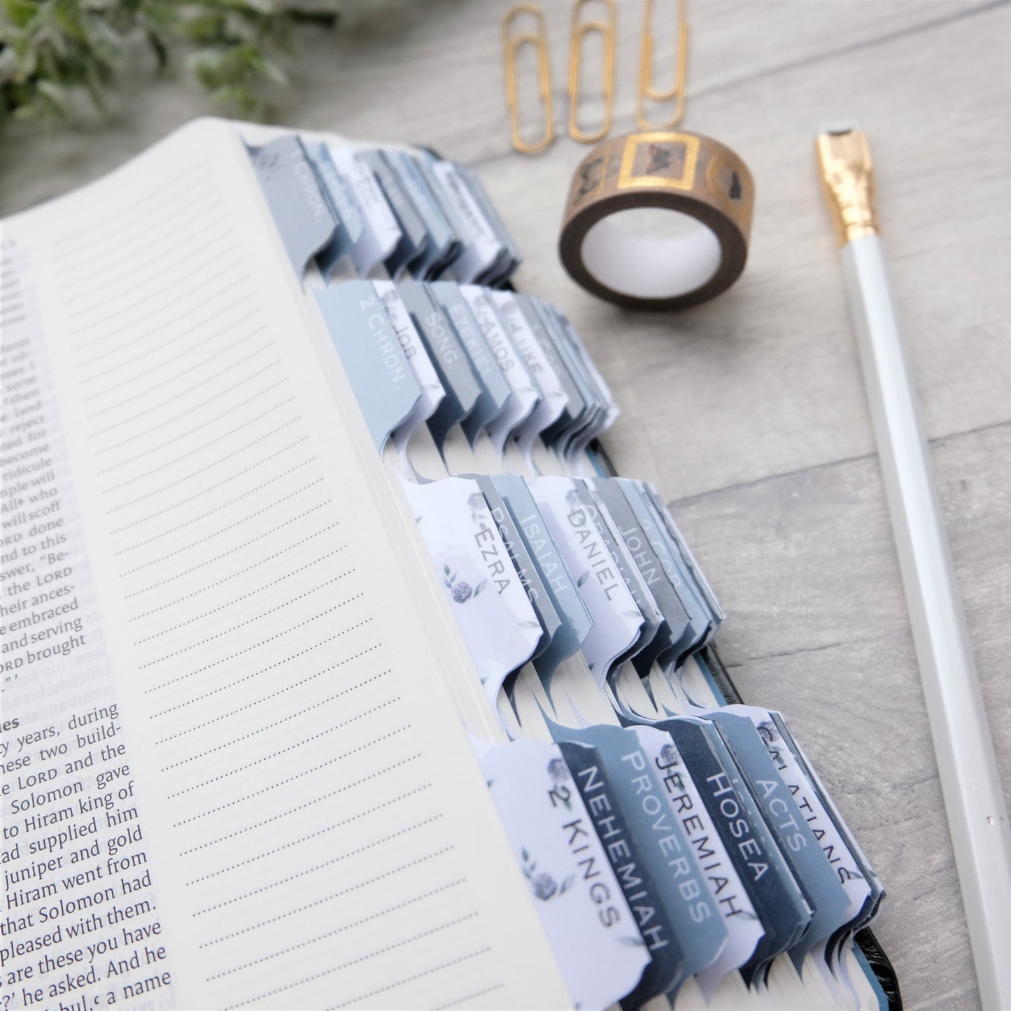 I am - Blue & Floral Watercolour Bible Tabs