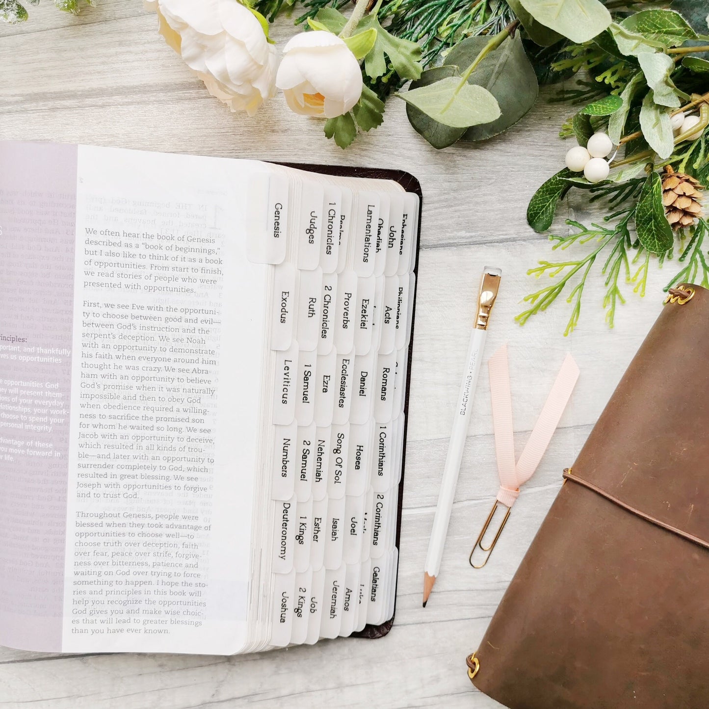 Simple & Minimalistic Vellum Bible Tabs