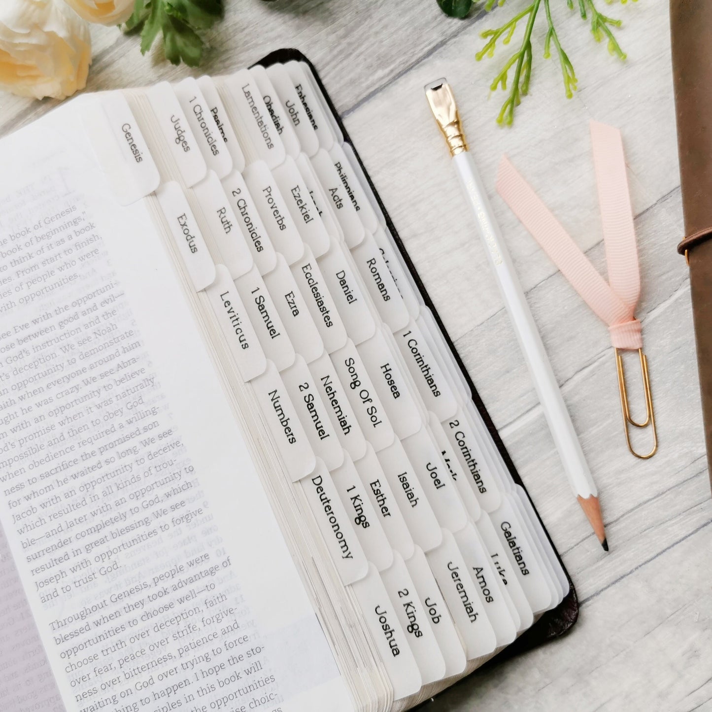Simple & Minimalistic Vellum Bible Tabs