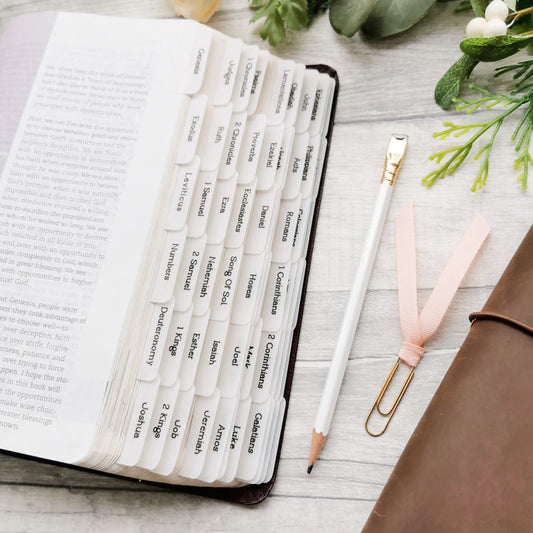 Simple & Minimalistic Vellum Bible Tabs