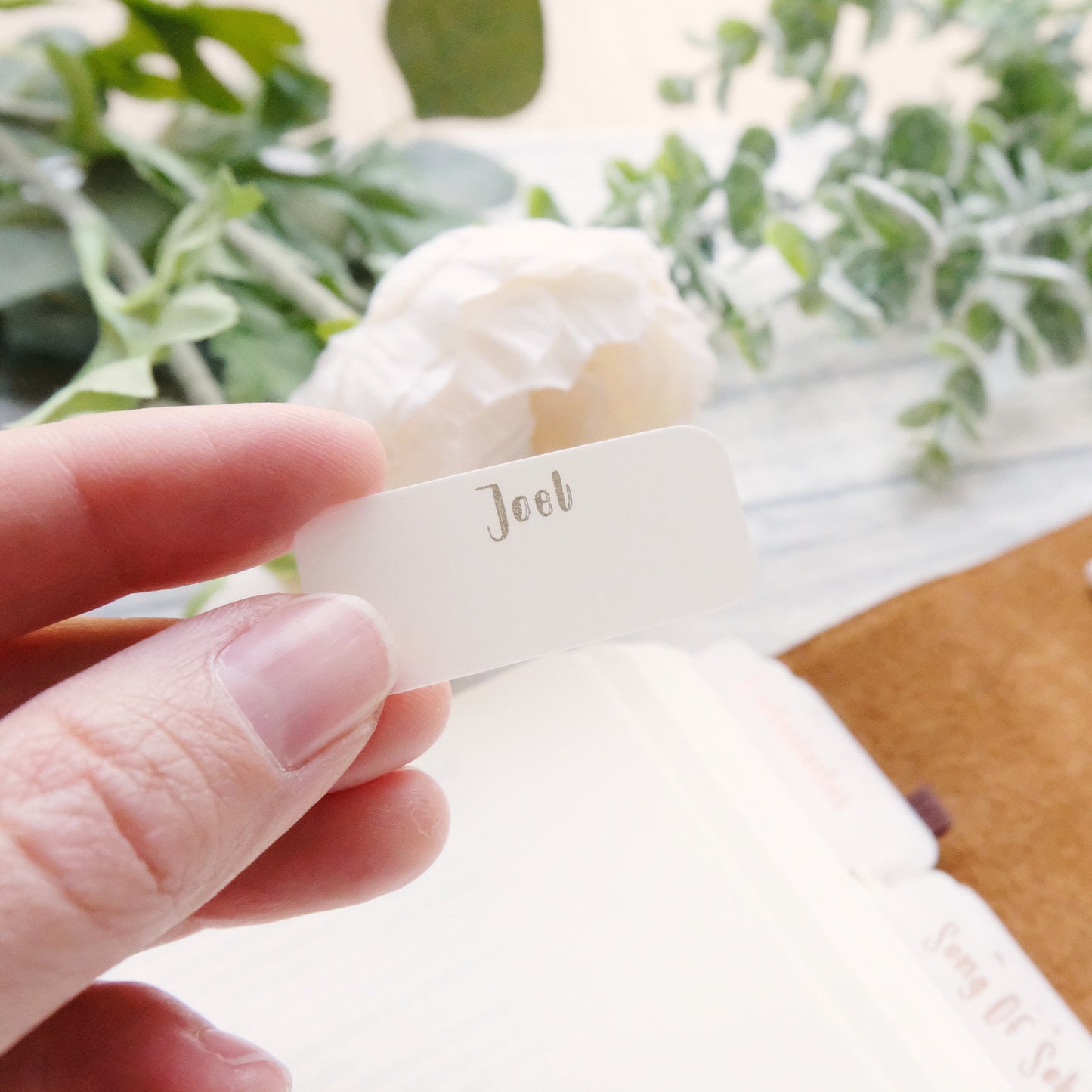 Simple & Minimalistic foiled Vellum Bible Tabs - Gold, Silver or Rose Gold