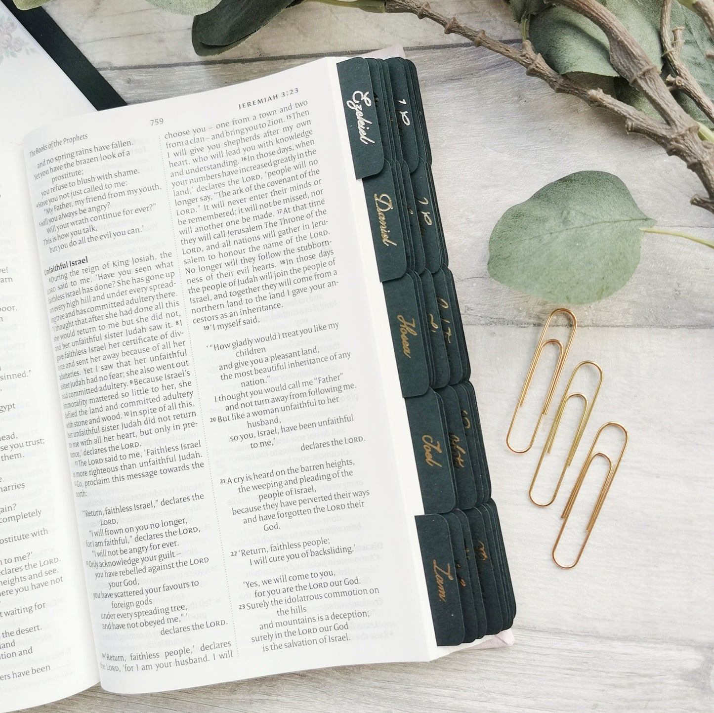 Forest Green Bible Tabs - Elegant Gold Foil Script