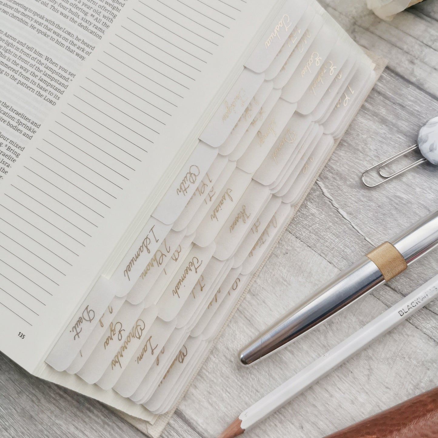 Minimalistic Script Gold Foil Vellum Bible Tabs