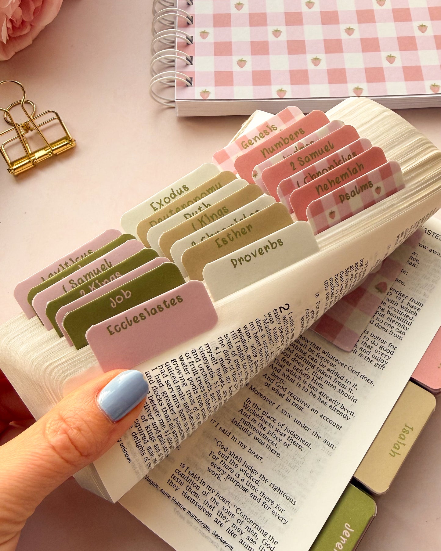 Dotk Design Bible Tabs in a bible with a strawberry gingham design