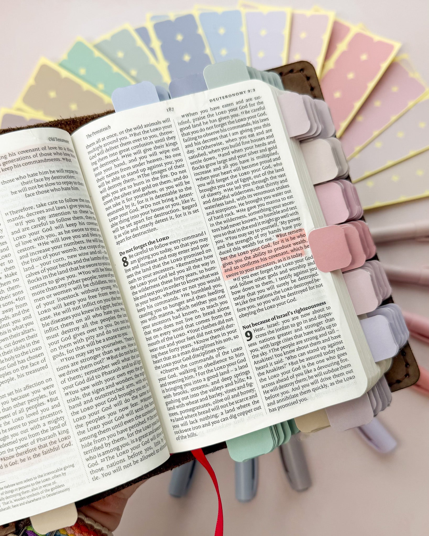 open bible with pastel mini tabs and pastel highlights