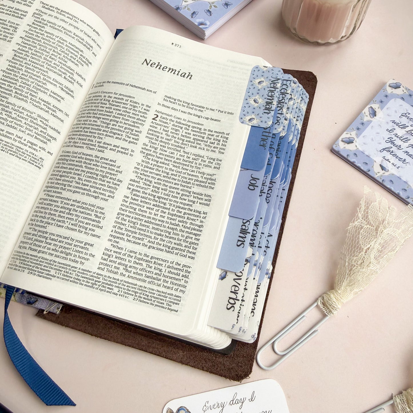DotK Bible tabs featuring a blue butterfly themed design