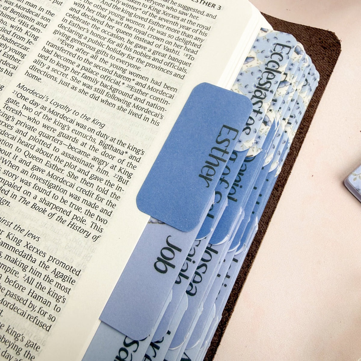 Close Up of DotK Butterfly Themed Bible Tabs