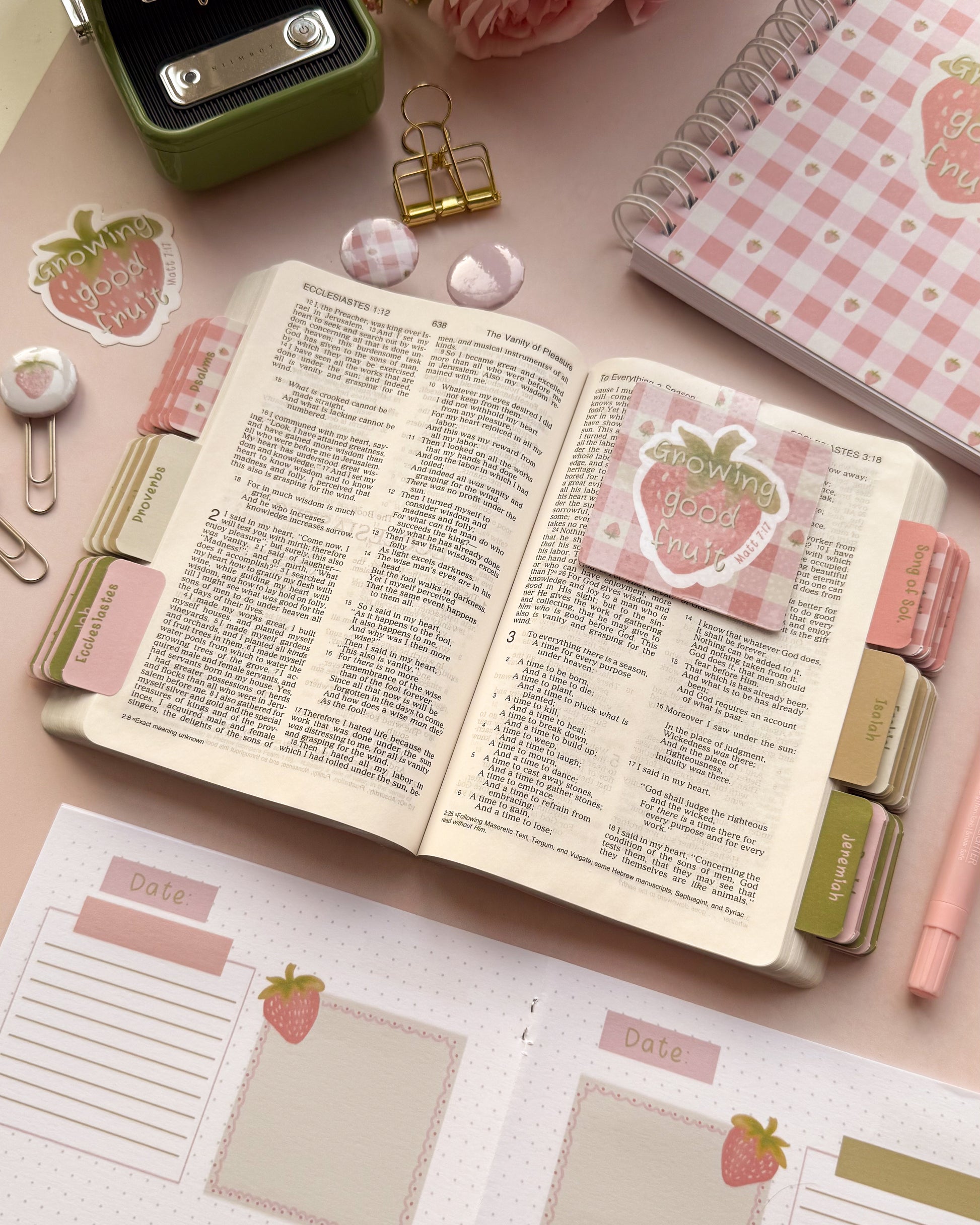 Dotk Design Bible Tabs in a bible with a strawberry gingham design