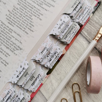 Blush Roses Watercolour Bible Tabs